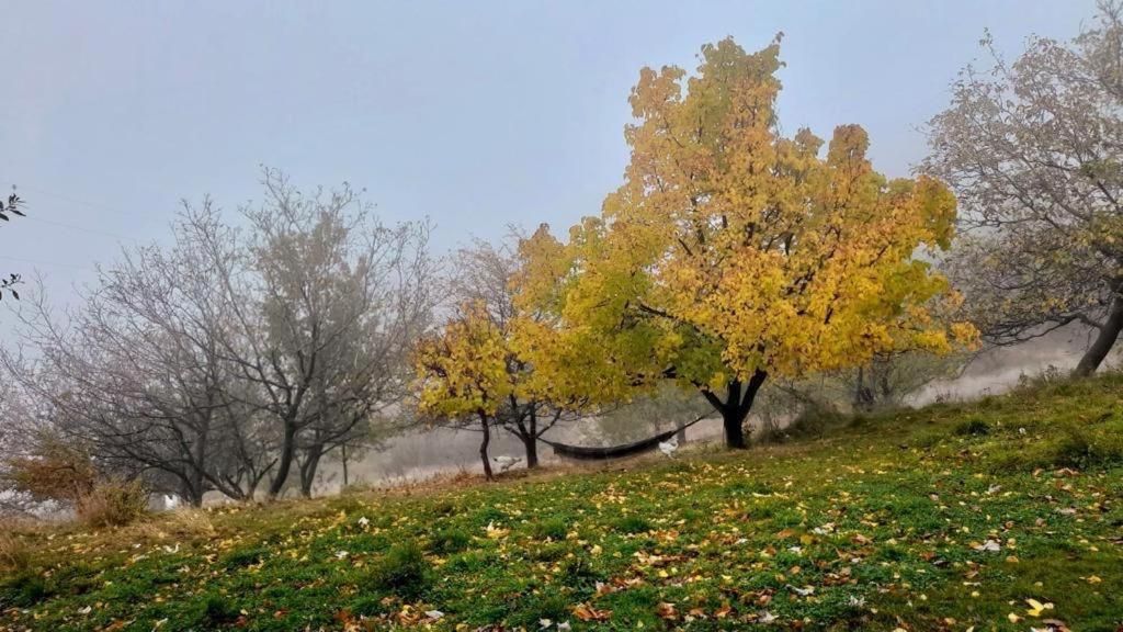Вілла Cortijo Rural El Albercon - Capileira - Alpujarra Rural Екстер'єр фото