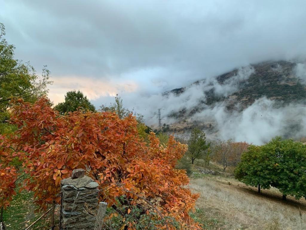 Вілла Cortijo Rural El Albercon - Capileira - Alpujarra Rural Екстер'єр фото