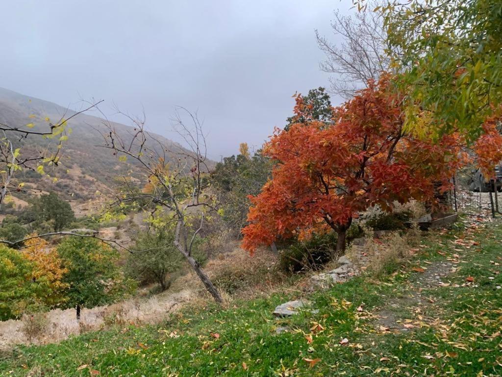 Вілла Cortijo Rural El Albercon - Capileira - Alpujarra Rural Екстер'єр фото