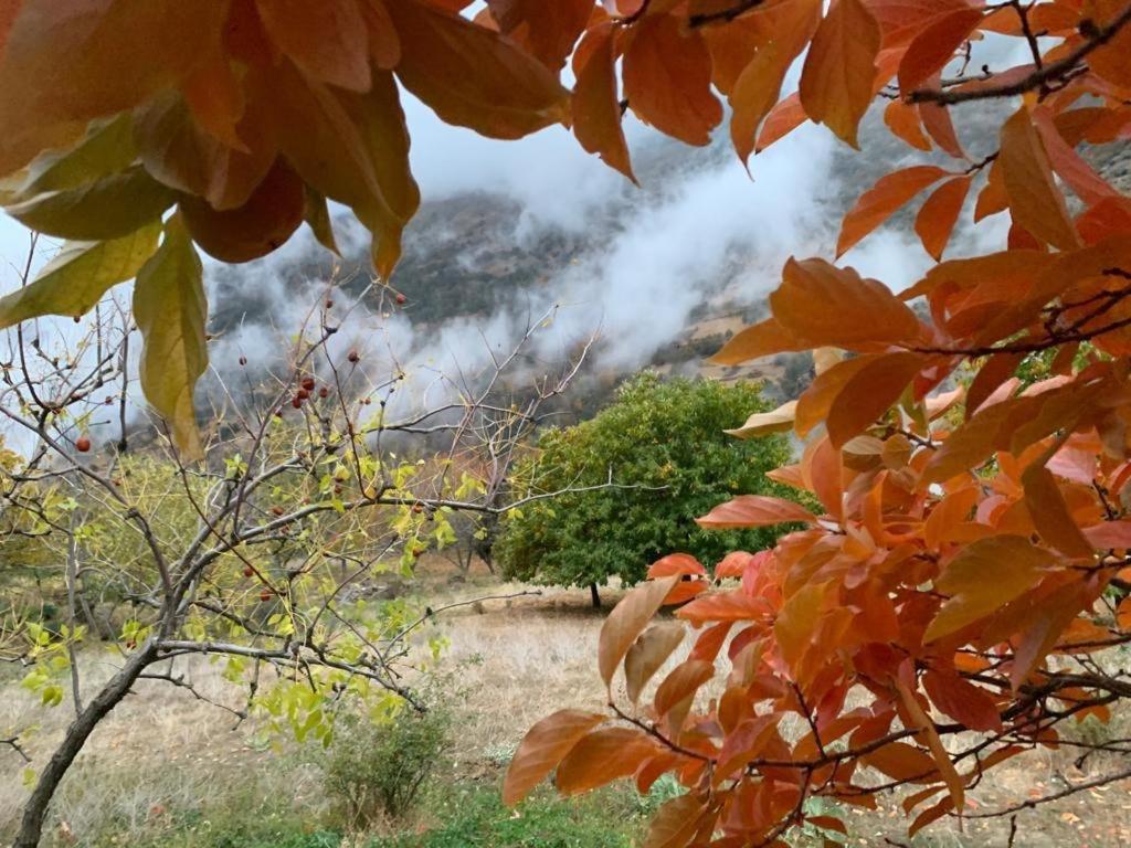 Вілла Cortijo Rural El Albercon - Capileira - Alpujarra Rural Екстер'єр фото